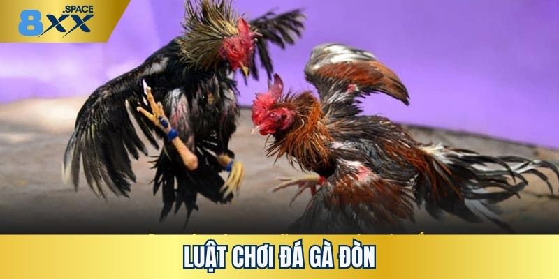 Tìm hiểu những luật chơi cụ thể về đá gà đòn